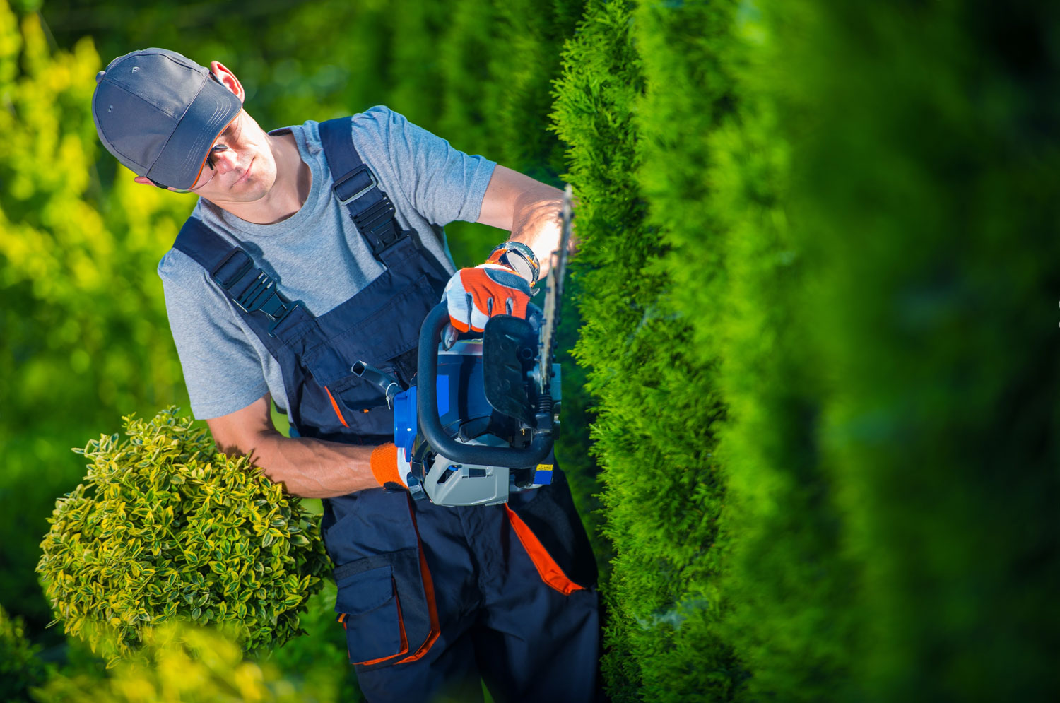We can handle all kinds of commerical tree services in Waxahachie.