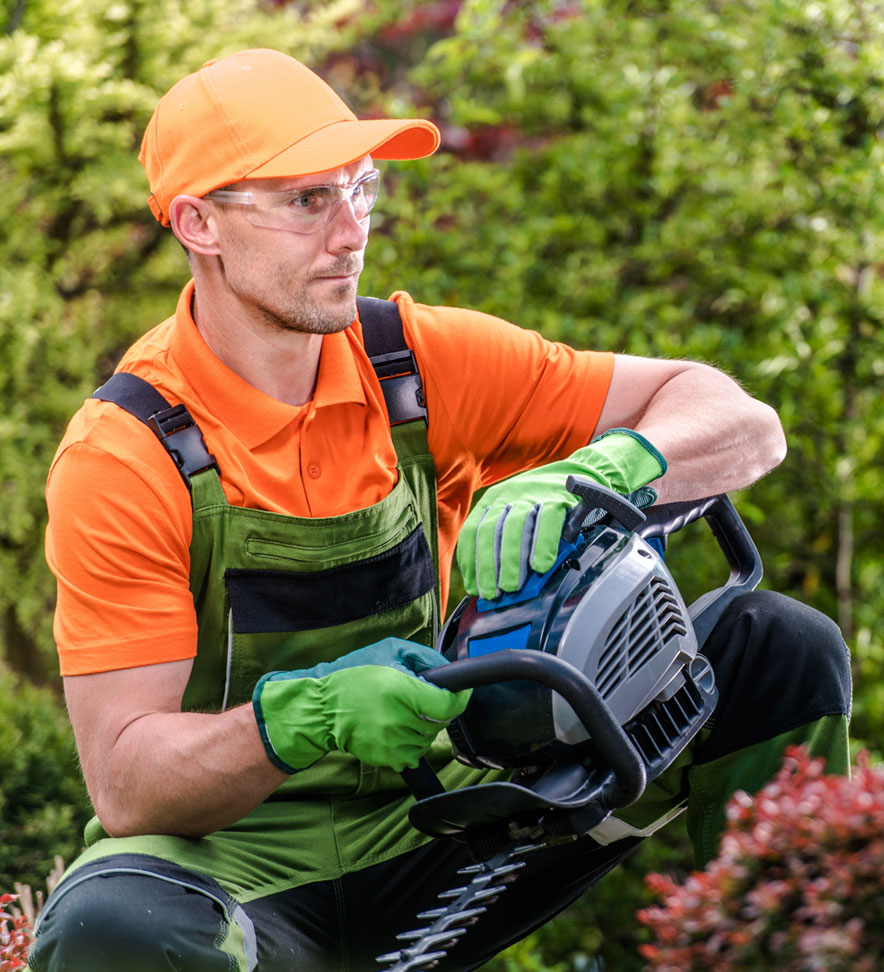 Our professional tree trimmers will get the job done right and on time all needs in Waxahachie.